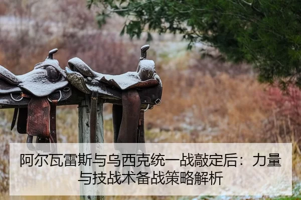 阿尔瓦雷斯与乌西克统一战敲定后：力量与技战术备战策略解析